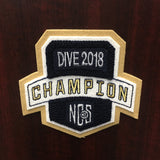 Dive Champion Patch