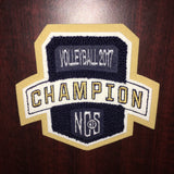 Volleyball Champion Patch